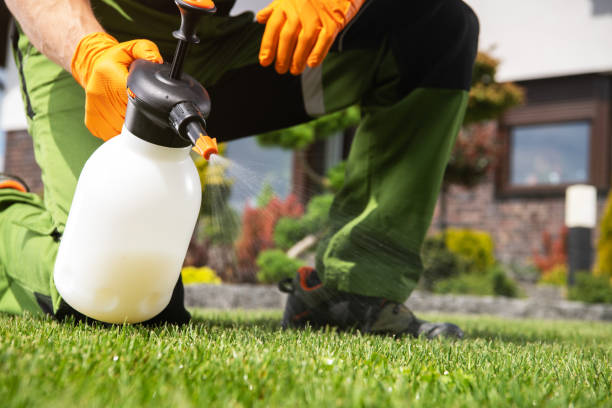 Best Commercial Pest Control Services  in Bodfish, CA