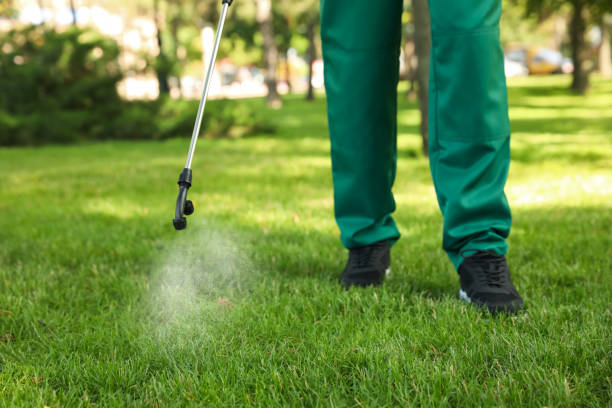 Best Rat Extermination Near Me  in Bodfish, CA