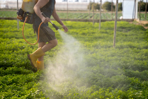 Best Best Pest Control Companies  in Bodfish, CA