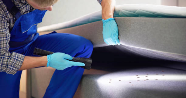 Best Flea Control Services  in Bodfish, CA