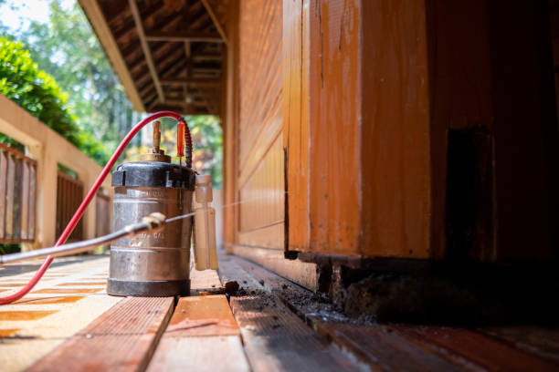 Best Affordable Pest Control Services  in Bodfish, CA