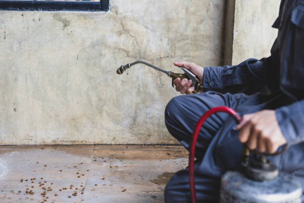 Best Wasp Removal Services  in Bodfish, CA